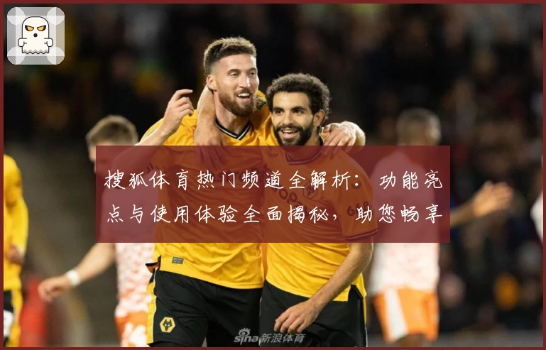 搜狐体育热门频道全解析：功能亮点与使用体验全面揭秘，助您畅享顶尖赛事资讯