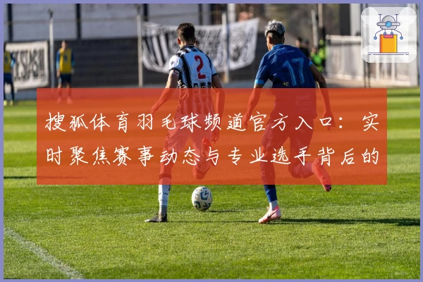 搜狐体育羽毛球频道官方入口：实时聚焦赛事动态与专业选手背后的故事