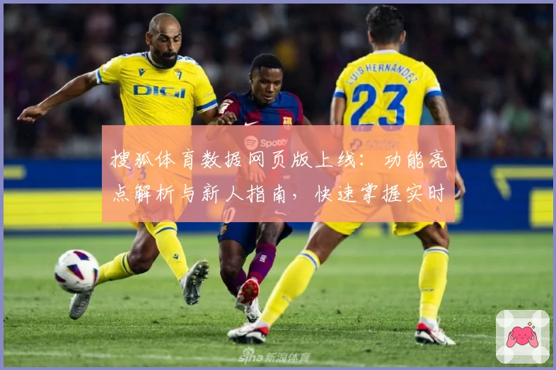 搜狐体育数据网页版上线：功能亮点解析与新人指南，快速掌握实时赛事动态
