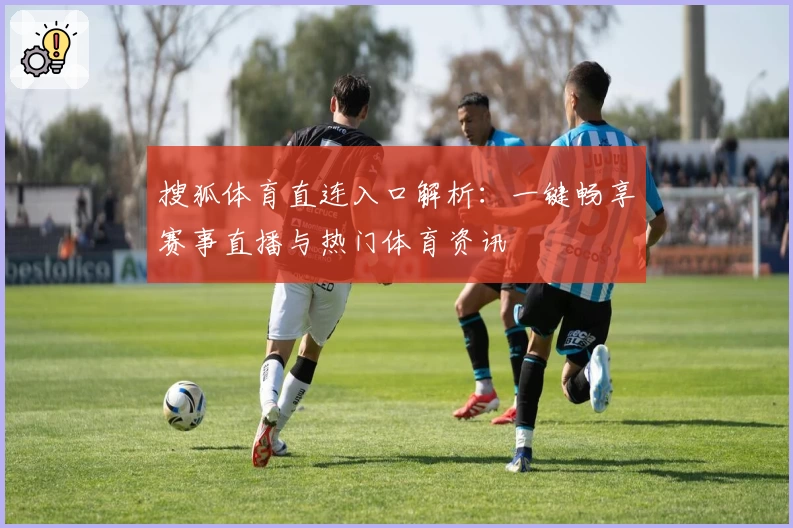 搜狐体育直连入口解析:一键畅享赛事直播与热门体育资讯