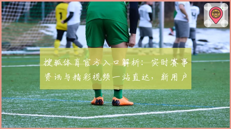 搜狐体育官方入口解析：实时赛事资讯与精彩视频一站直达，新用户必看全面指南