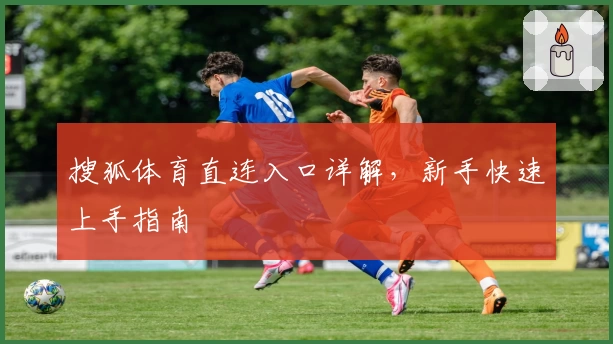 搜狐体育直连入口详解，新手快速上手指南