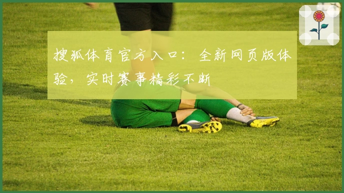 搜狐体育官方入口：全新网页版体验，实时赛事精彩不断